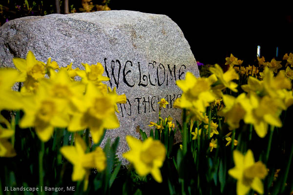 Bangor Garden Show 2013